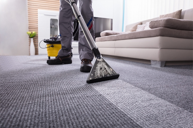 carpet shampoo services